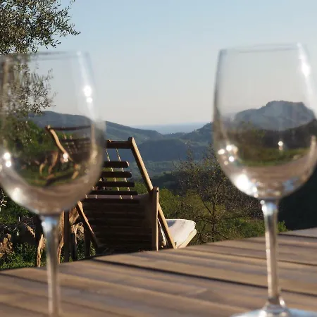 ファームステイ Agriturismo Campo Di Luna Falcinello