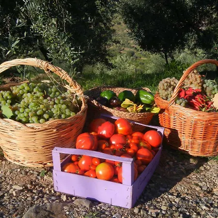 Agriturismo Campo Di Luna * Falcinello